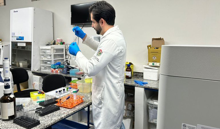 Equipe do laboratório do IPPMG analisando amostras para diagnóstico rápido de tumores sólidos pediátricos.