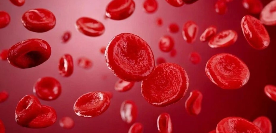 Ilustração microscópica de células sanguíneas mostrando glóbulos brancos anormais típicos da leucemia.