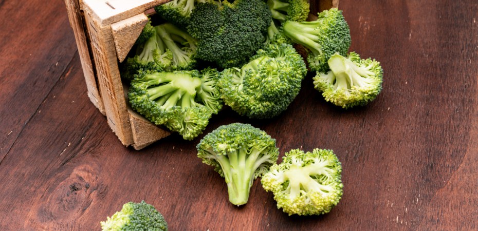 Brócolis contém composto natural que auxilia na proteção do intestino.