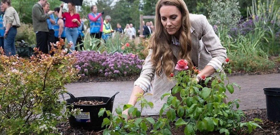 Kate Middleton planta rosa no Jardim de Bem‑Estar no Hospital Colchester, celebrando a cura natural e o poder da natureza.